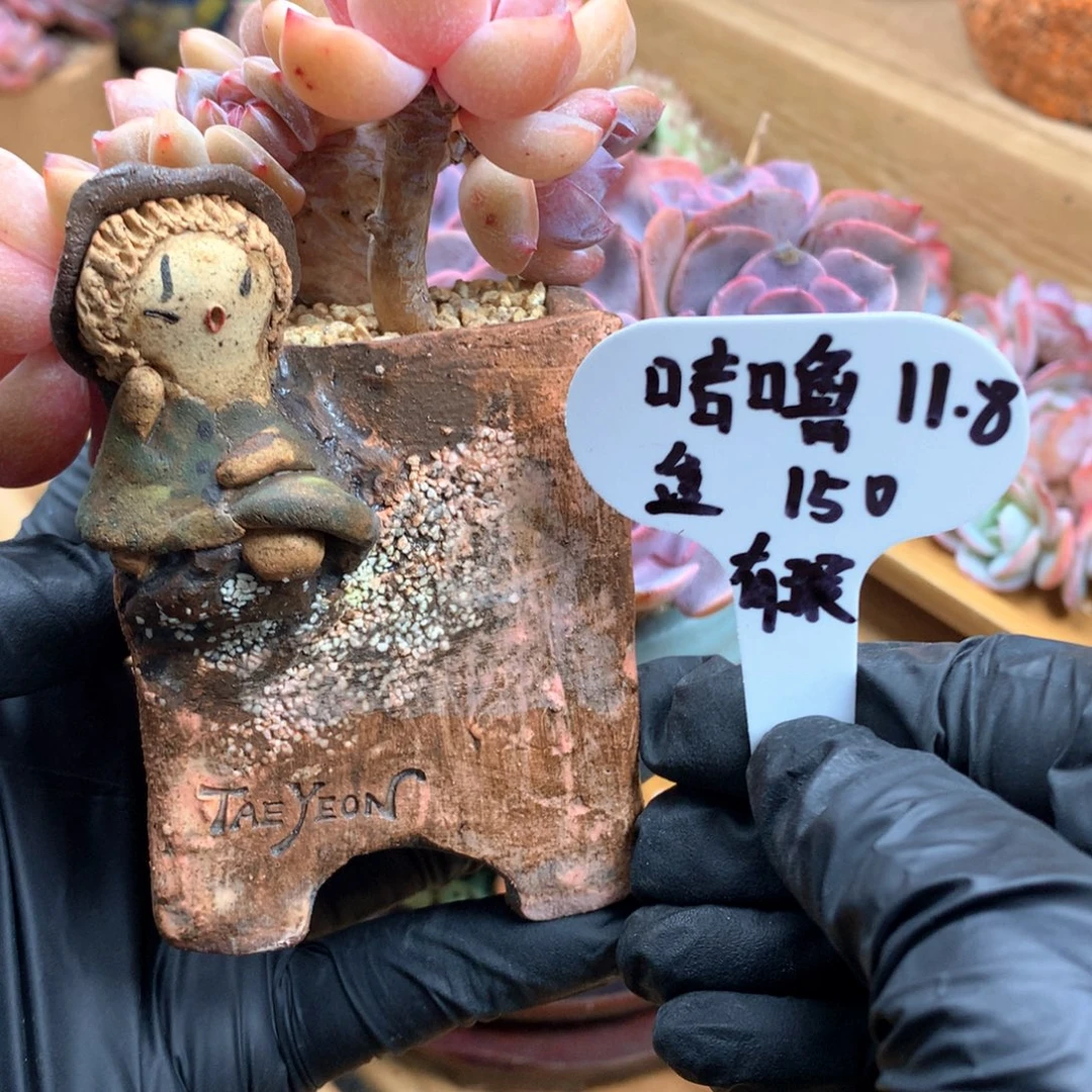 吉***㲺盆盆一物一拍有瑕