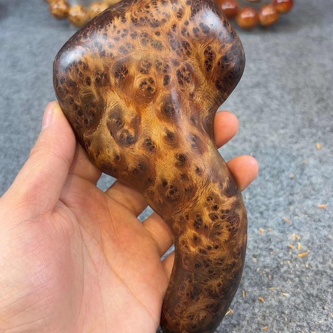 许***康崖柏太行崖柏阴沉雷瘤