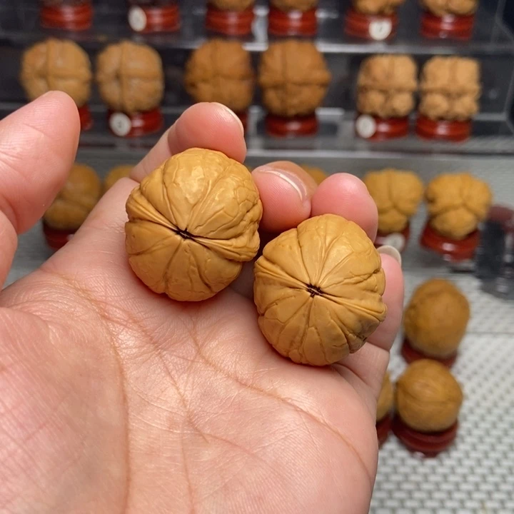 文玩核桃把件铁西瓜25