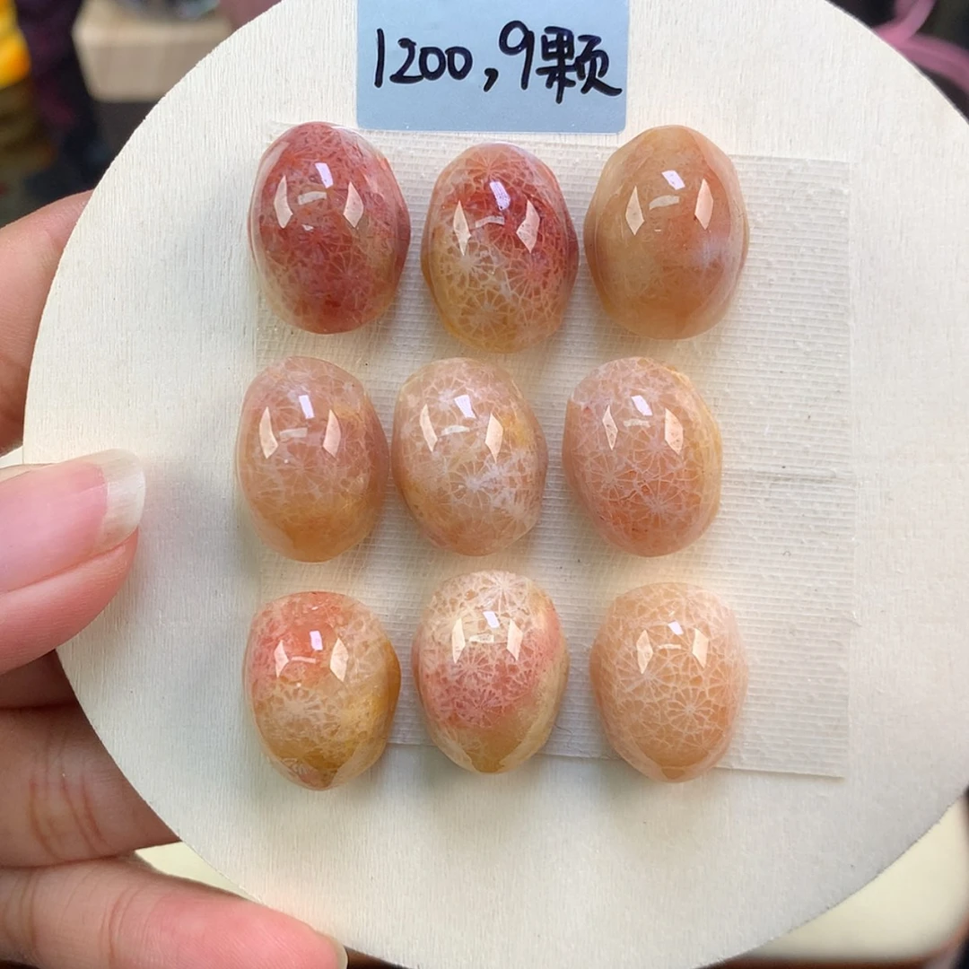 【闪购商品】颈饰未镶嵌硅化珊瑚（珊瑚玉）龟背一套（21号）