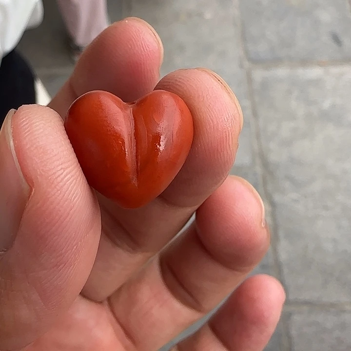 南红玛瑙未镶嵌颈饰