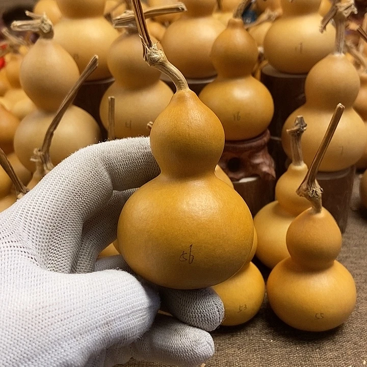 文玩葫芦 完美主义者 慎拍56