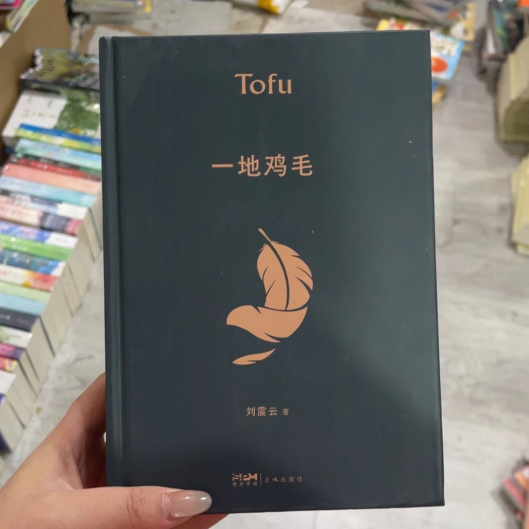 一地鸡毛精装一个