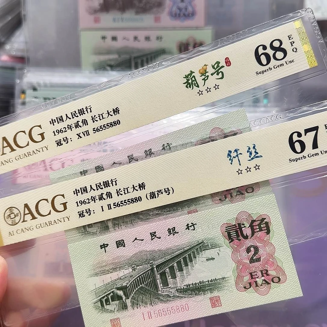 纸56555880。。。。金马王豹子身全同号