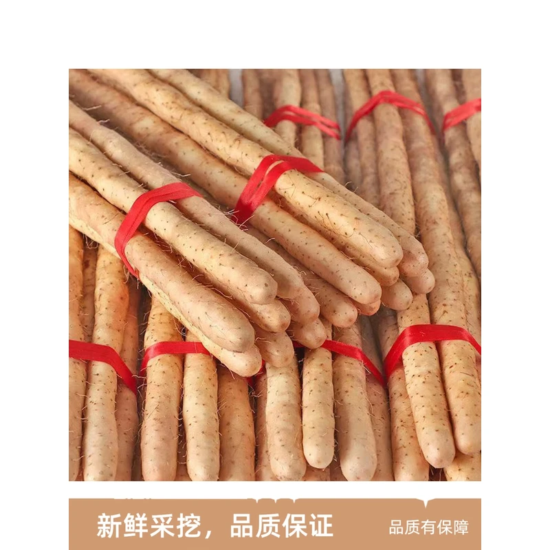 新鲜铁棍山药软糯香甜100%正宗宝宝辅食山药正宗铁棍山药产地直发