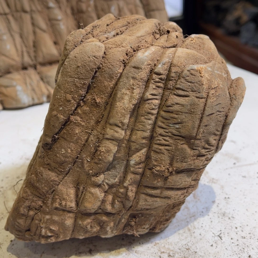 用***5石材灵璧亲密爱人是因为自己喜欢