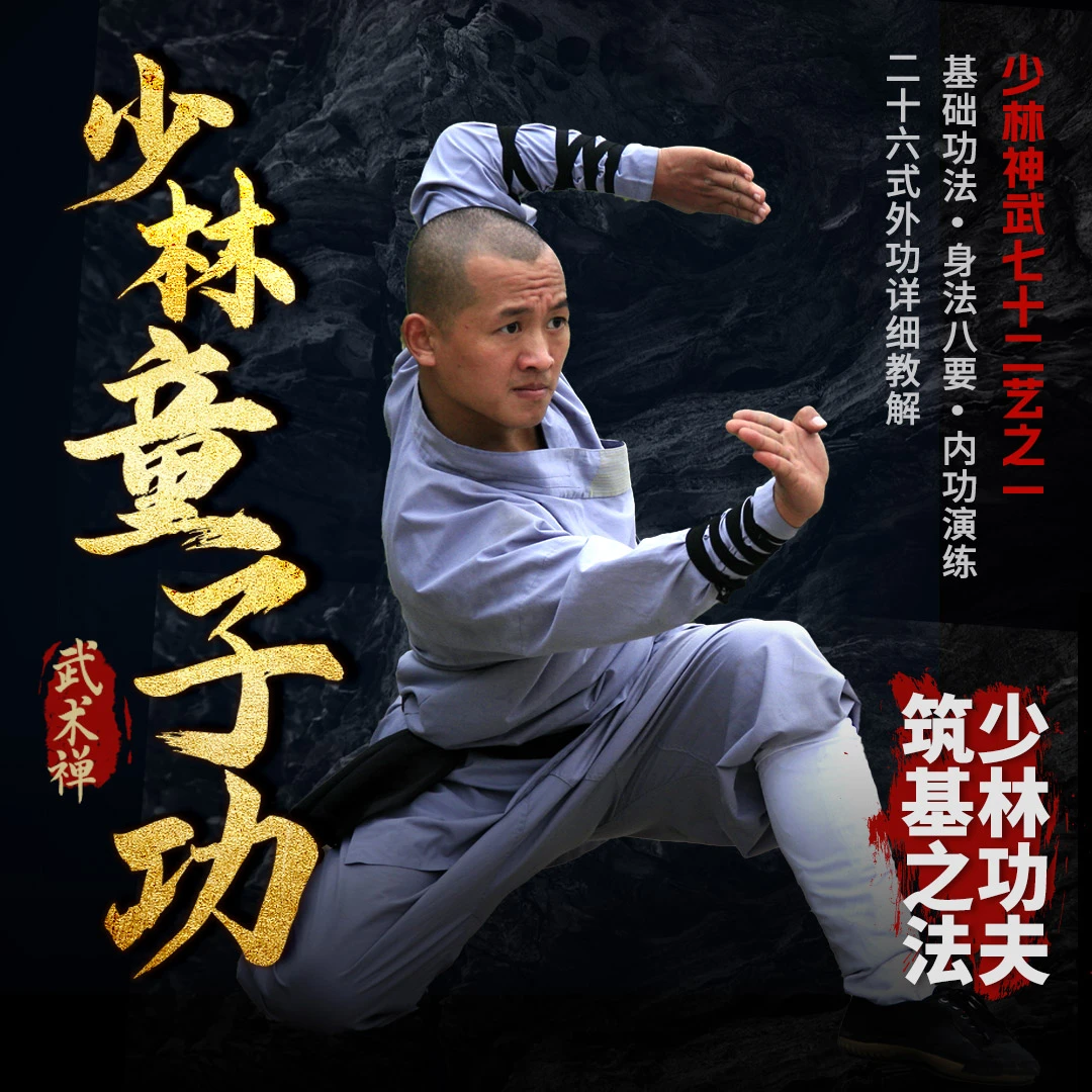 少林童子功新手入门到高手格斗搏击武术功夫视频课（非实物）