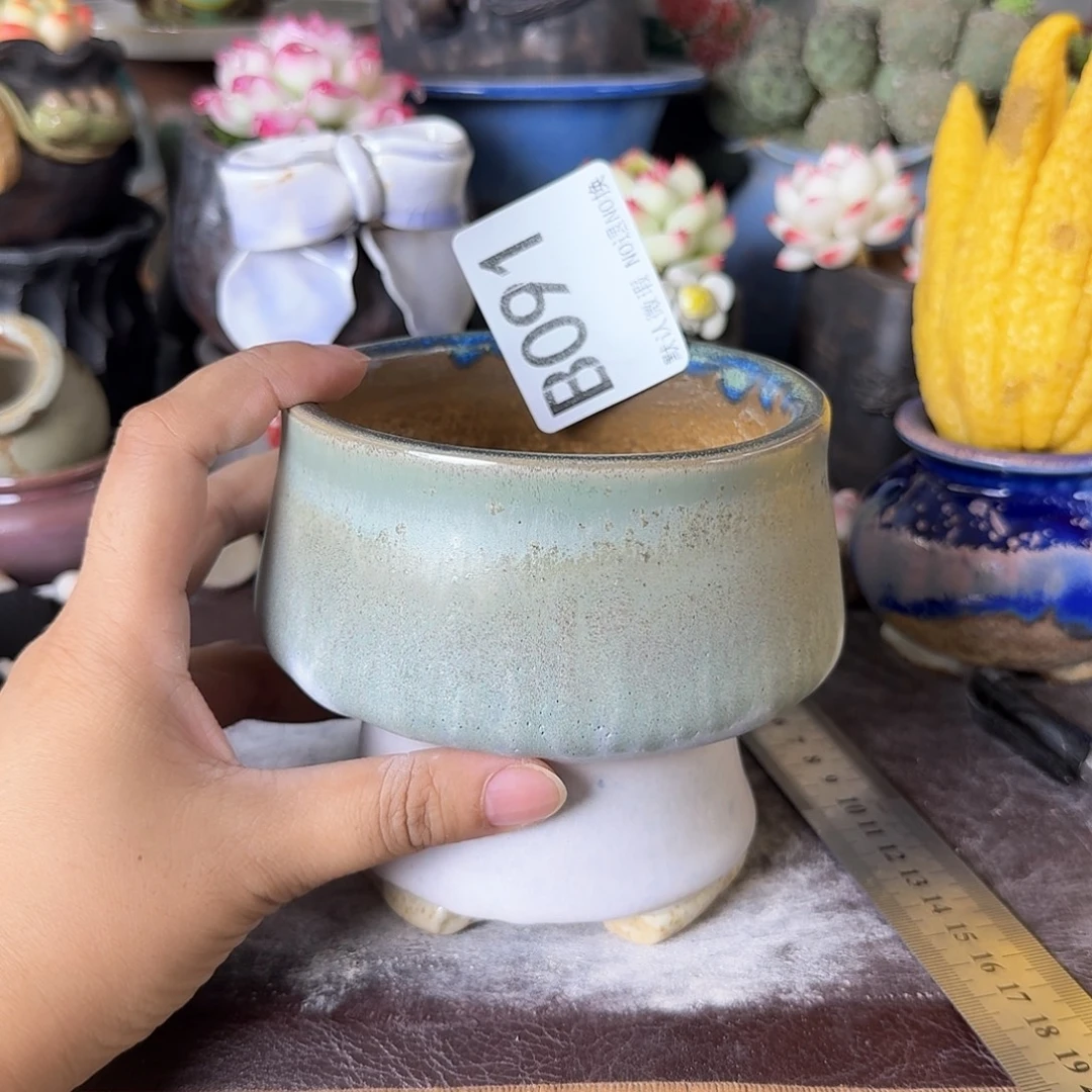 重庆小燕子欢迎大家091