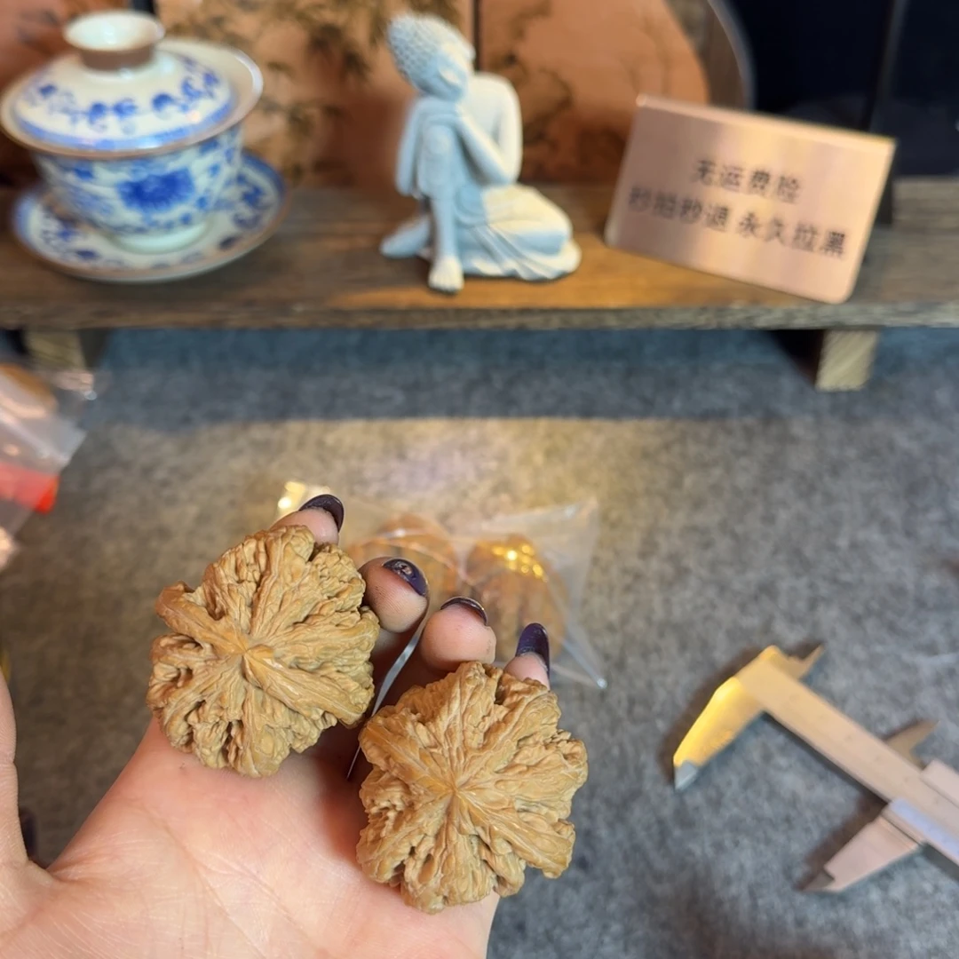 浅刮水尖4445大粗筋八筋聚顶