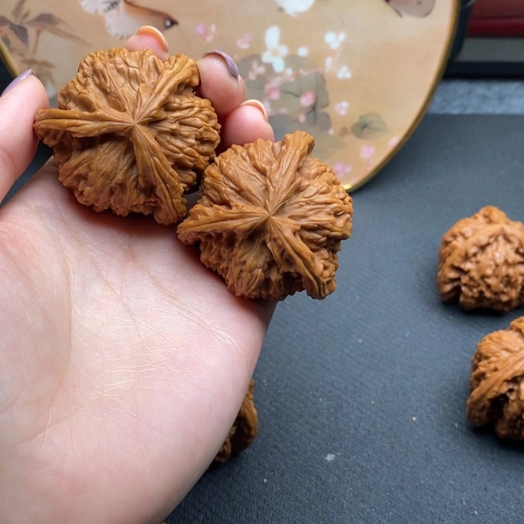 梦**爸白狮子11111111111