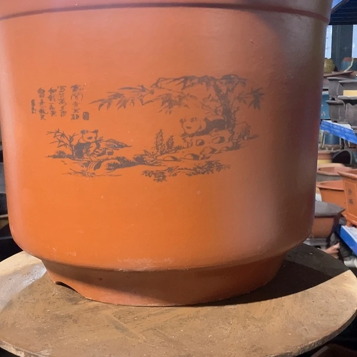 平海45金钟花盆花盆花盆