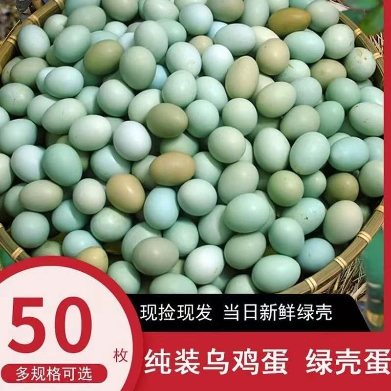 正宗绿壳乌鸡蛋深山养殖新鲜现捡现发农家散养鲜蛋