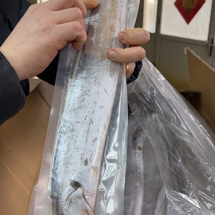 中国大陆赵****帅带鱼