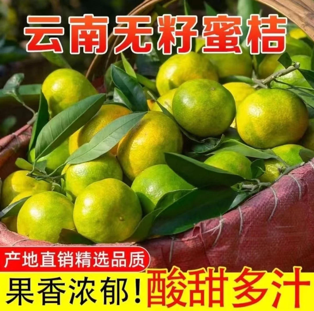 现摘云南青皮无籽蜜桔新鲜应季水果酸甜多汁适合孕妇