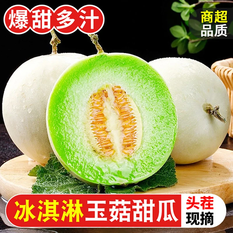 山东正宗冰淇淋玉菇甜瓜新鲜水果当季蜜瓜香瓜整箱脆甜密瓜