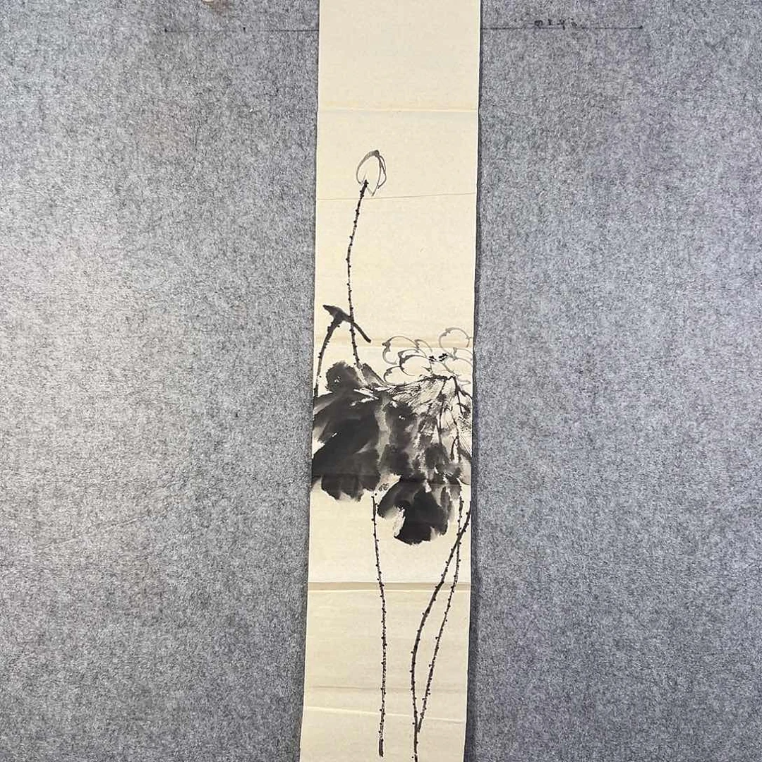 国画195 牡丹花等经济植物和花卉资源