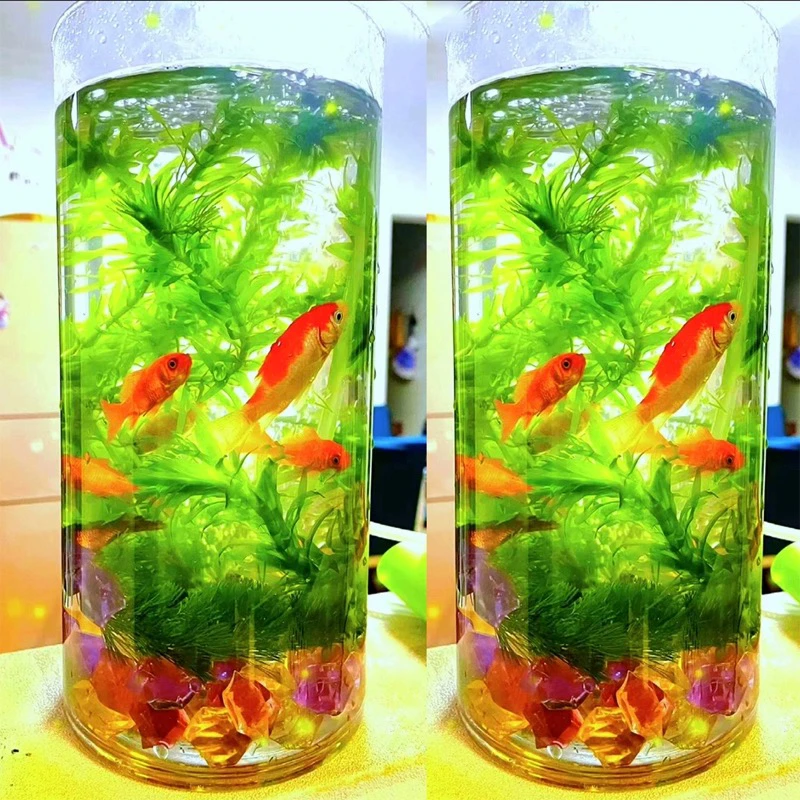 懒人草无需种植可以沉水里斗鱼草直接扔水里就能活蜈蚣草鱼缸水草