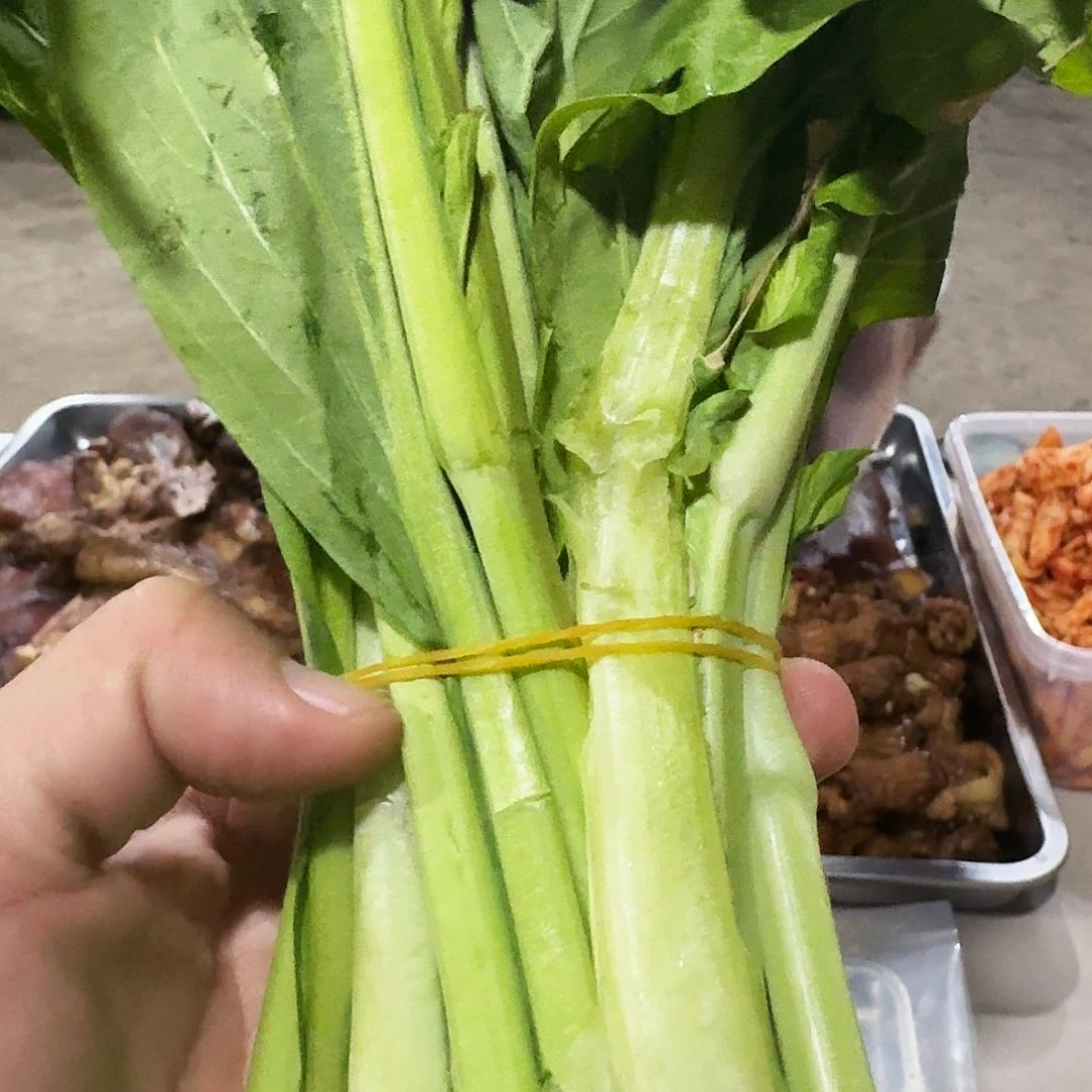 周***m白菜中国大陆她的