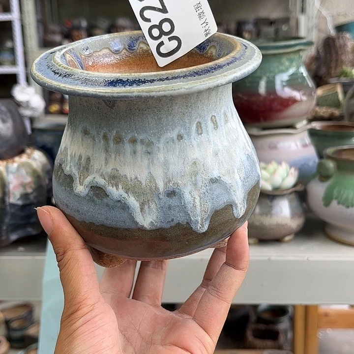 重庆小燕子欢迎大家821