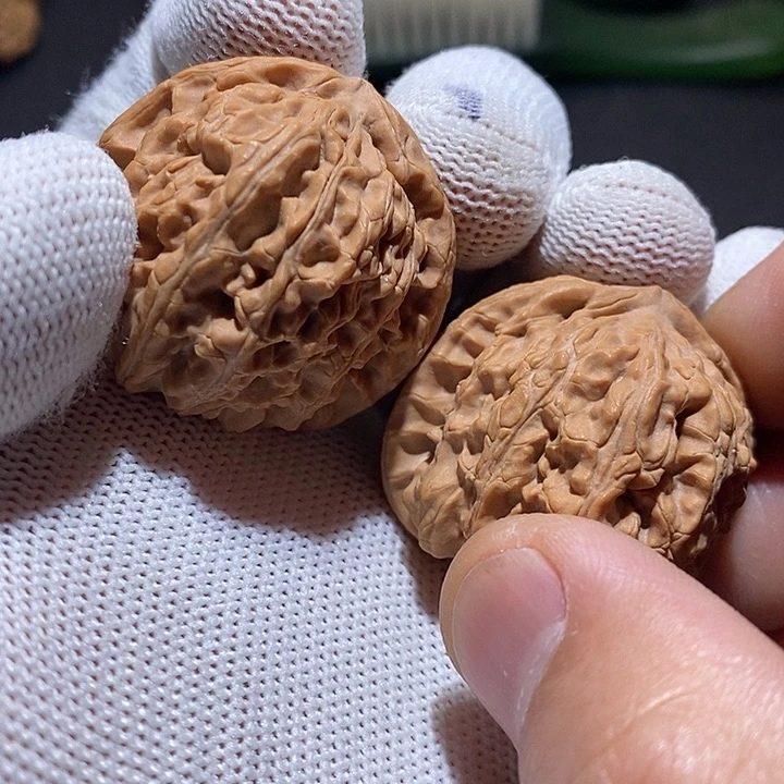 黑****夜38尺全品白狮子