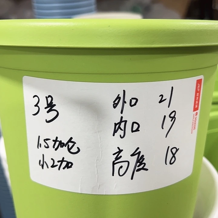 特价3号四季口21高18果绿无托10只