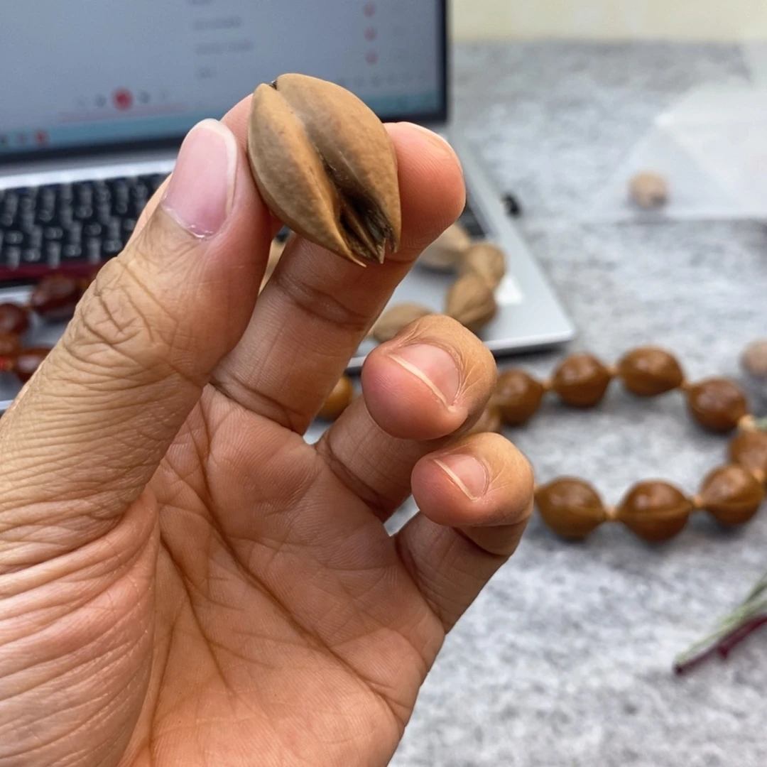 橄榄核手串/手链K*c梅林铁核一物一图