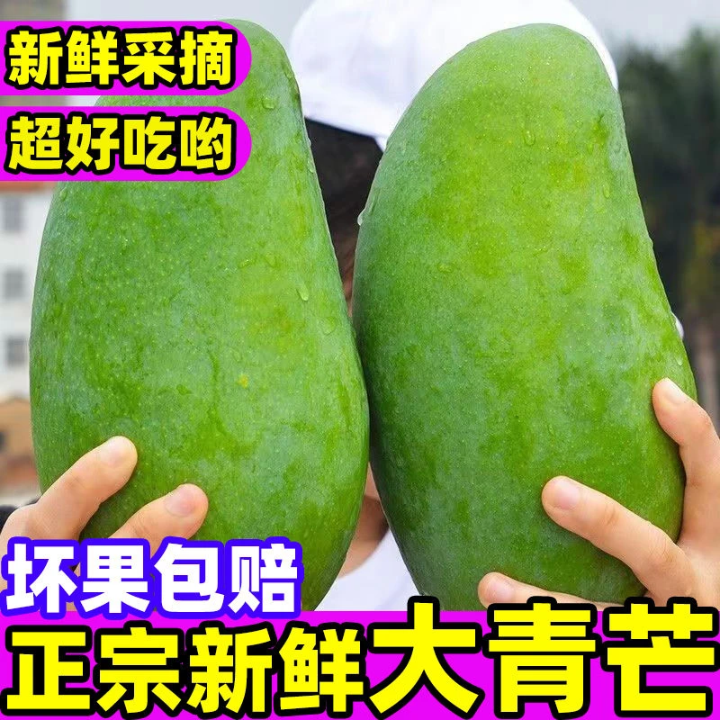 【大青芒】云南大青芒新鲜采摘产地直发催熟食用包邮坏果包赔