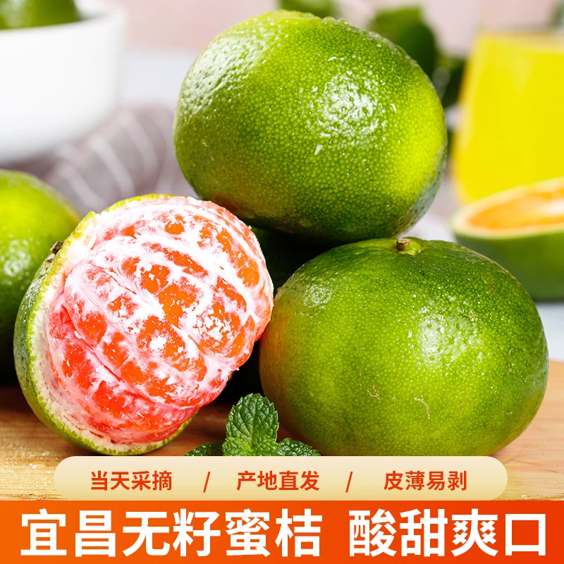 宜昌蜜桔新鲜现摘易撕皮无籽柑橘子农家自种酸甜爆汁