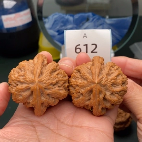 文玩核桃把件三*?大粗筋612