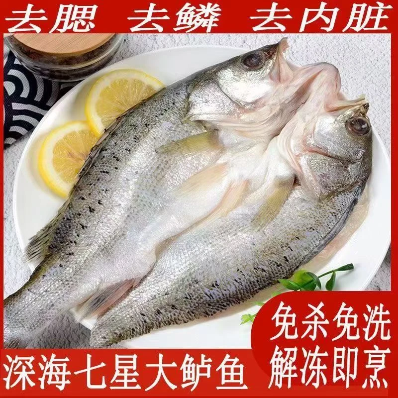 深海开背鲈鱼水产品去鳞去鳃去内脏鲜嫩冷冻海鲜400-500克/条