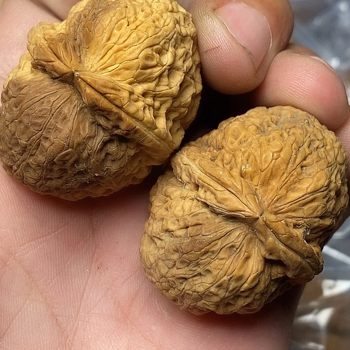 把件文玩核桃志成云铁文玩56