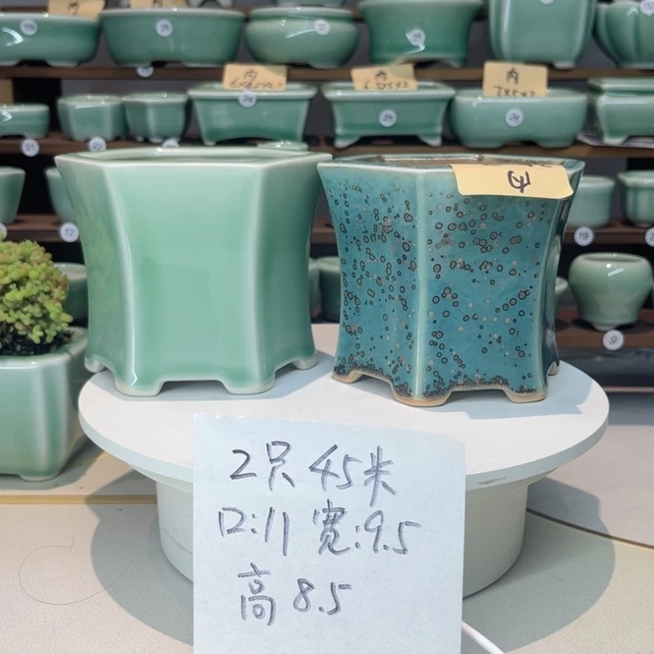 盆心缘小花盆（默认瑕疵）