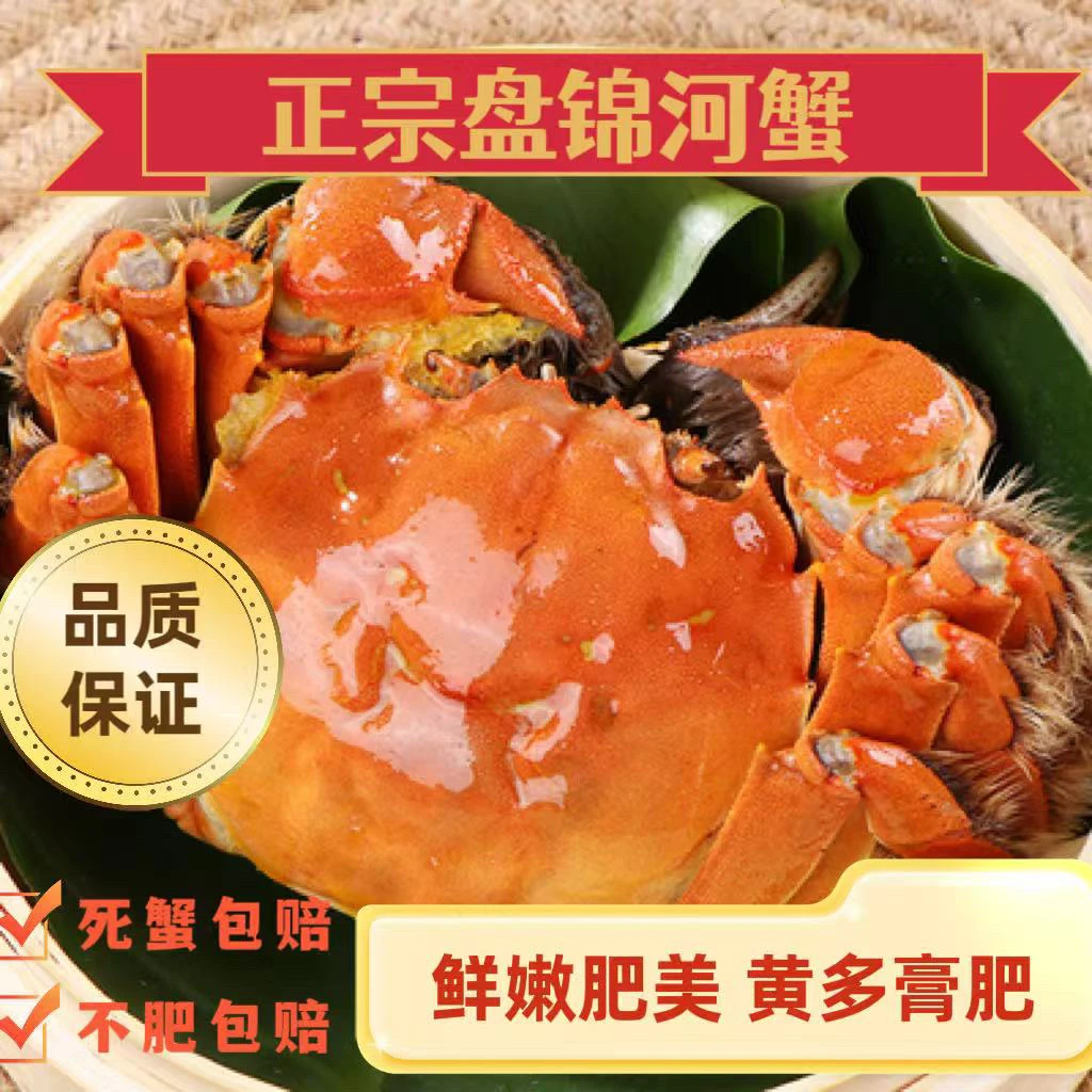 【鲜活】盘锦河蟹 公蟹【1.0—1.3两】3斤28只左右冷链空运运输 鲜活发货