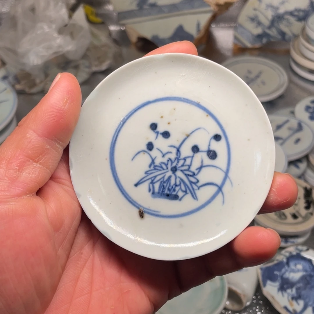 瓷片瓷片瓷片瓷片标本