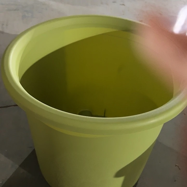 四季9号果绿无托4个微瑕