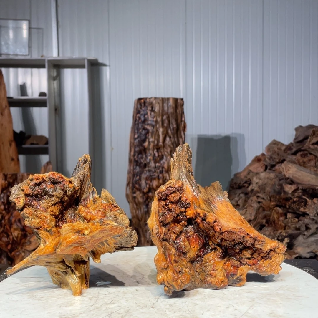 木***活木猛子琥珀琥珀木21