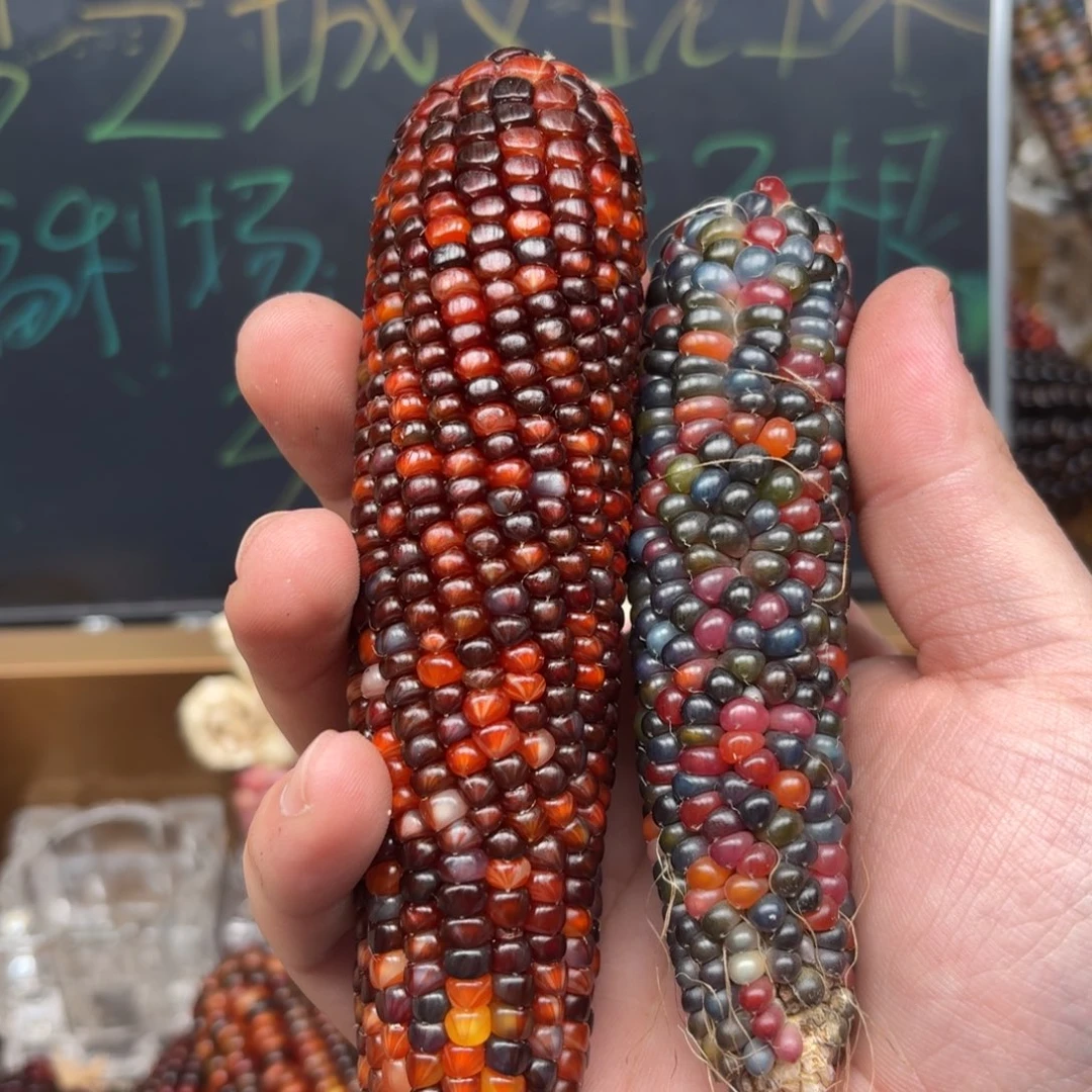 柏香籽/百香籽吊坠雅*