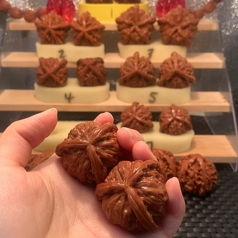 吊坠猴头核桃羽*白狮子