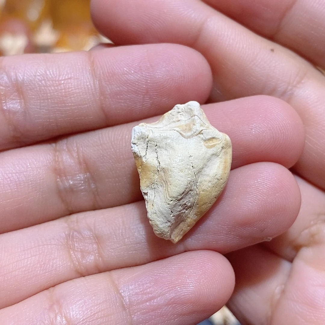 秋***起定制琥珀蜜蜡原石