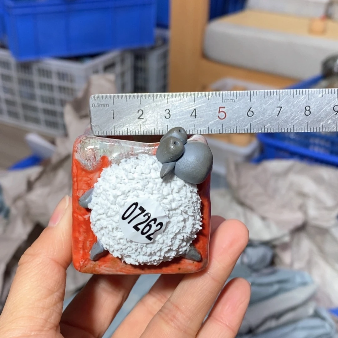 花盆拍3送一个小礼物