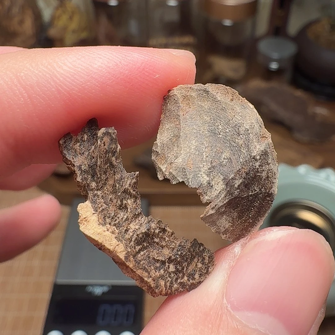 沉香国香香港壳子