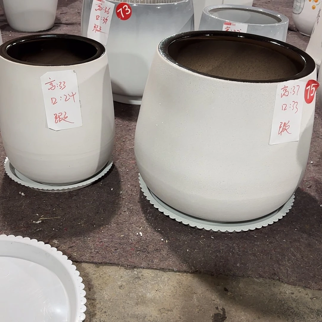 龙蛋一大一小一套