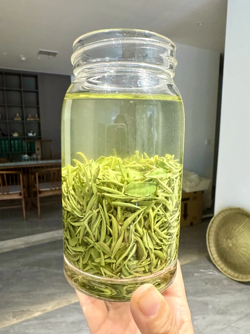 2025年新茶毛尖绿茶老旱茶中芽茶批发醇厚耐泡老茶客