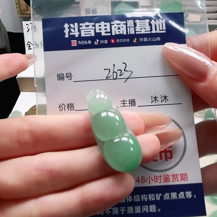 石英质玉未镶嵌颈饰