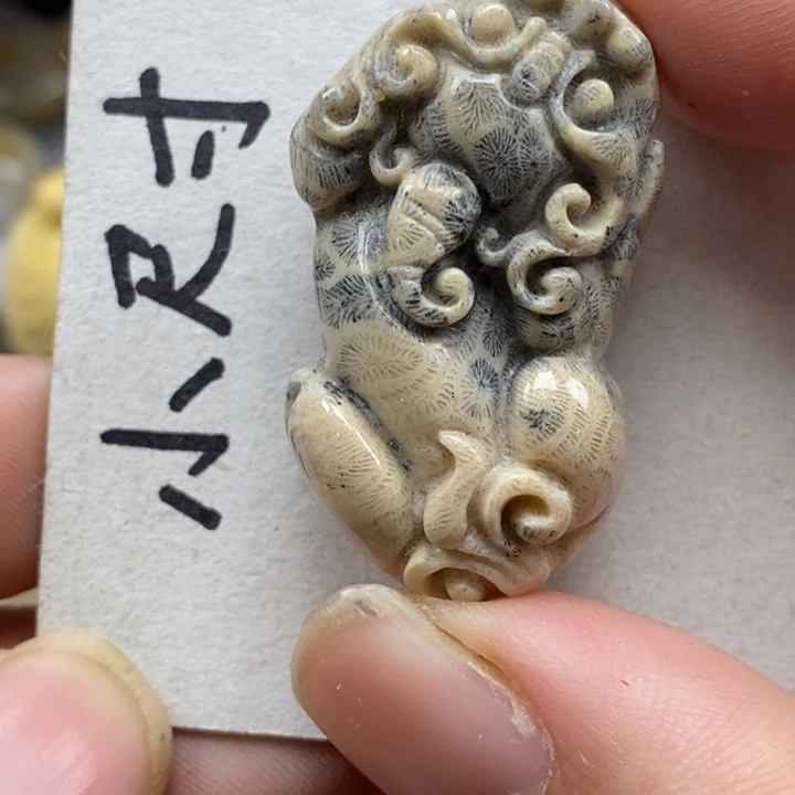 硅化珊瑚（珊瑚玉）未镶嵌颈饰