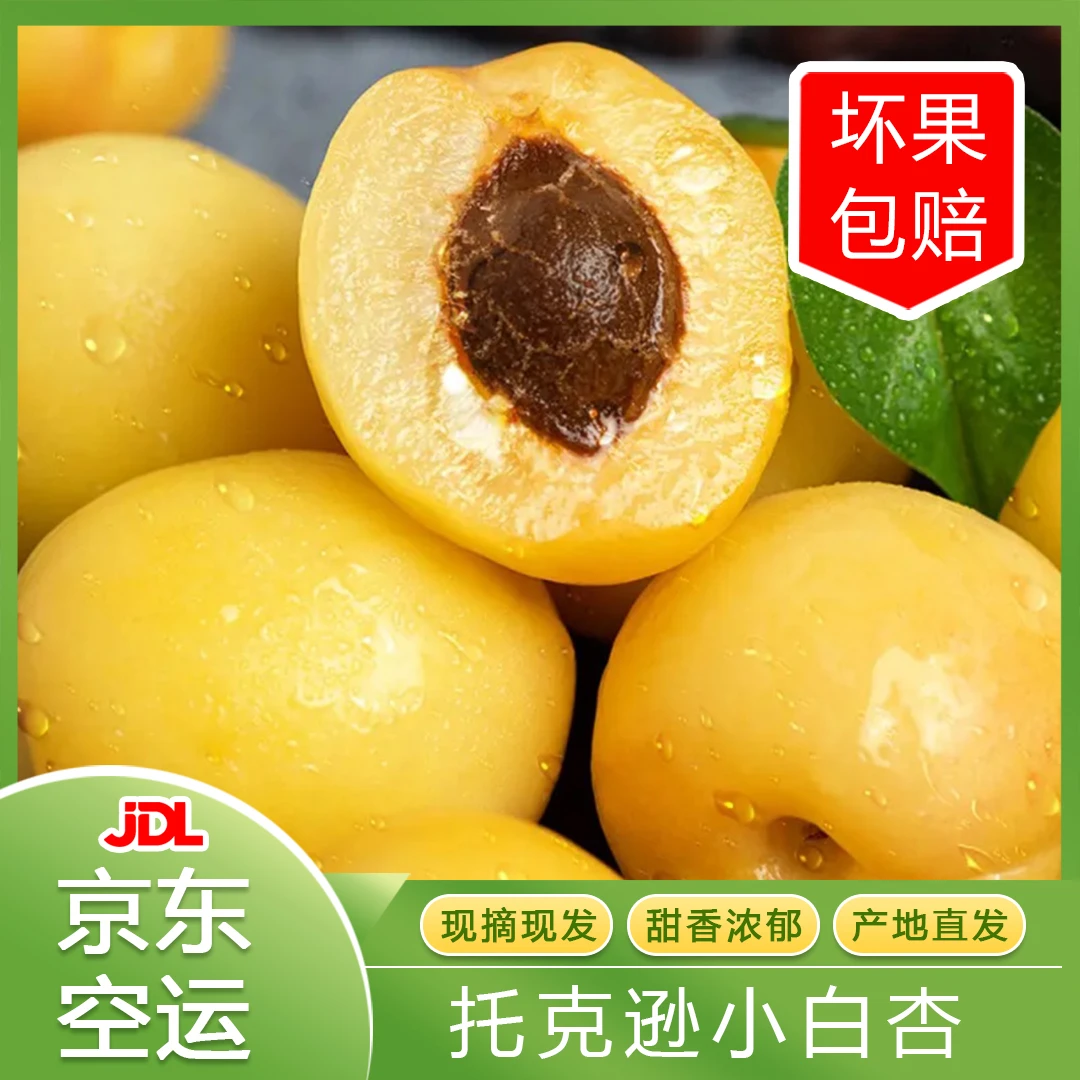 【京东航空新疆发】新疆托克逊小白杏全国包邮新鲜现摘现发产地发货
