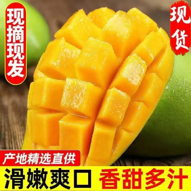 云南大青芒 净重3斤装 大青芒果 新鲜热带水果