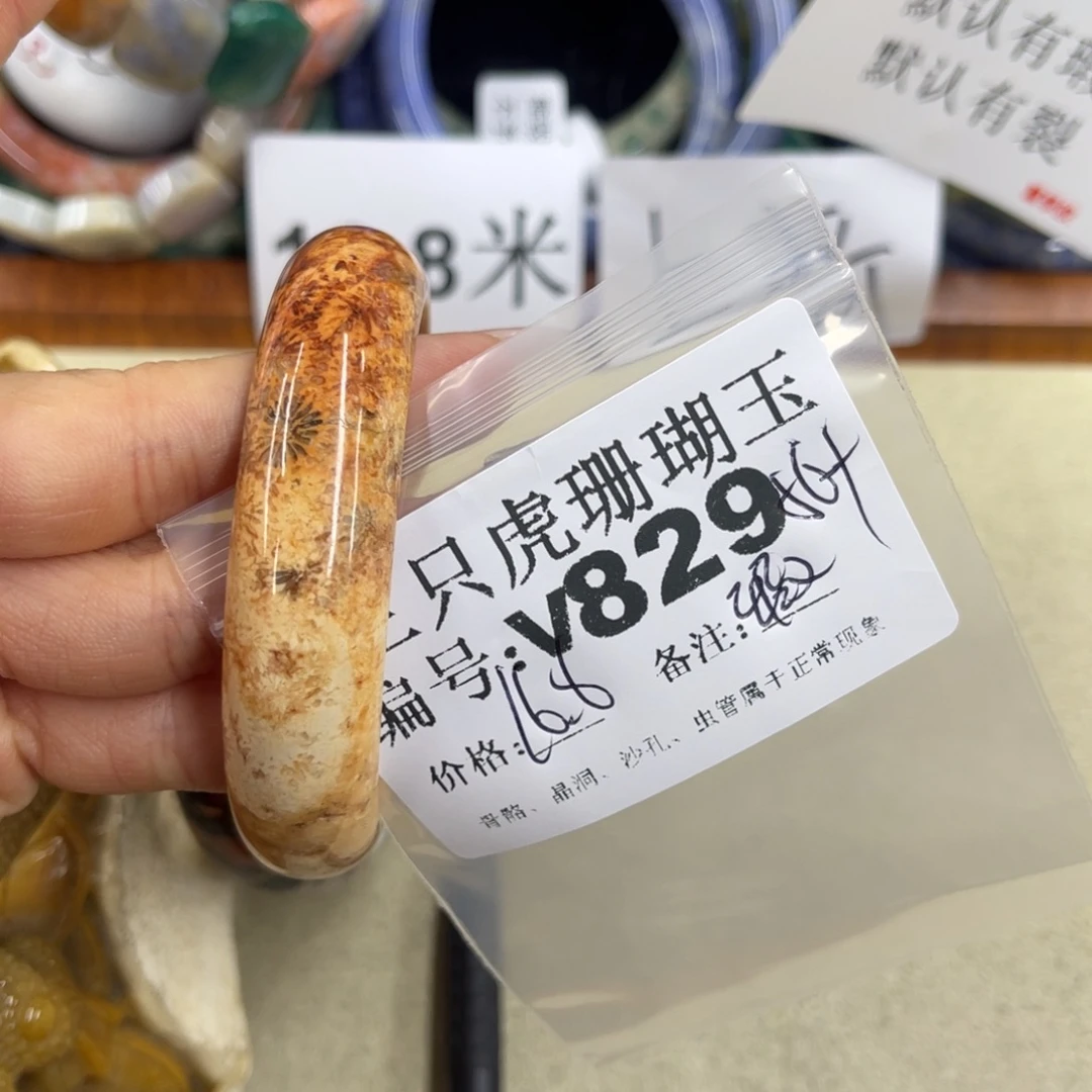 幸***盖硅化珊瑚（珊瑚玉）未镶嵌h