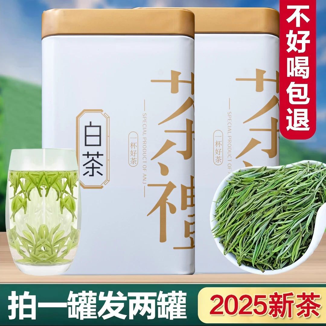正宗白茶原产地安吉高山2025年新茶罐装一级口粮茶雨前散装茶