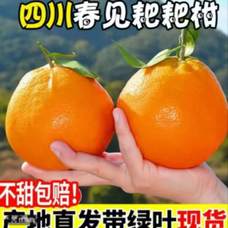 四川耙耙柑橘子当季整箱新鲜水果现摘现发